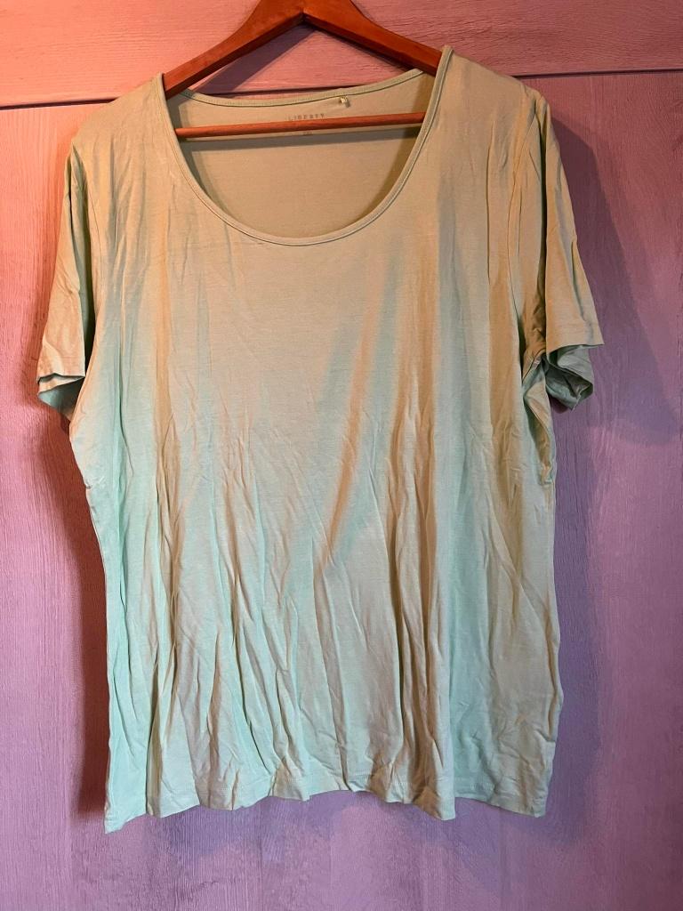 tshirt liberty island 2xl lichtgroen stretch, Kleding | Dames, Grote Maten, Liberty island, Ophalen of Verzenden, Gedragen, Shirt of Top
