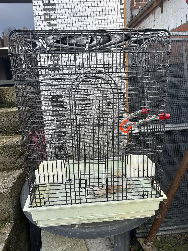 Vogelkooi, Ophalen, Gebruikt, Vogelkooi