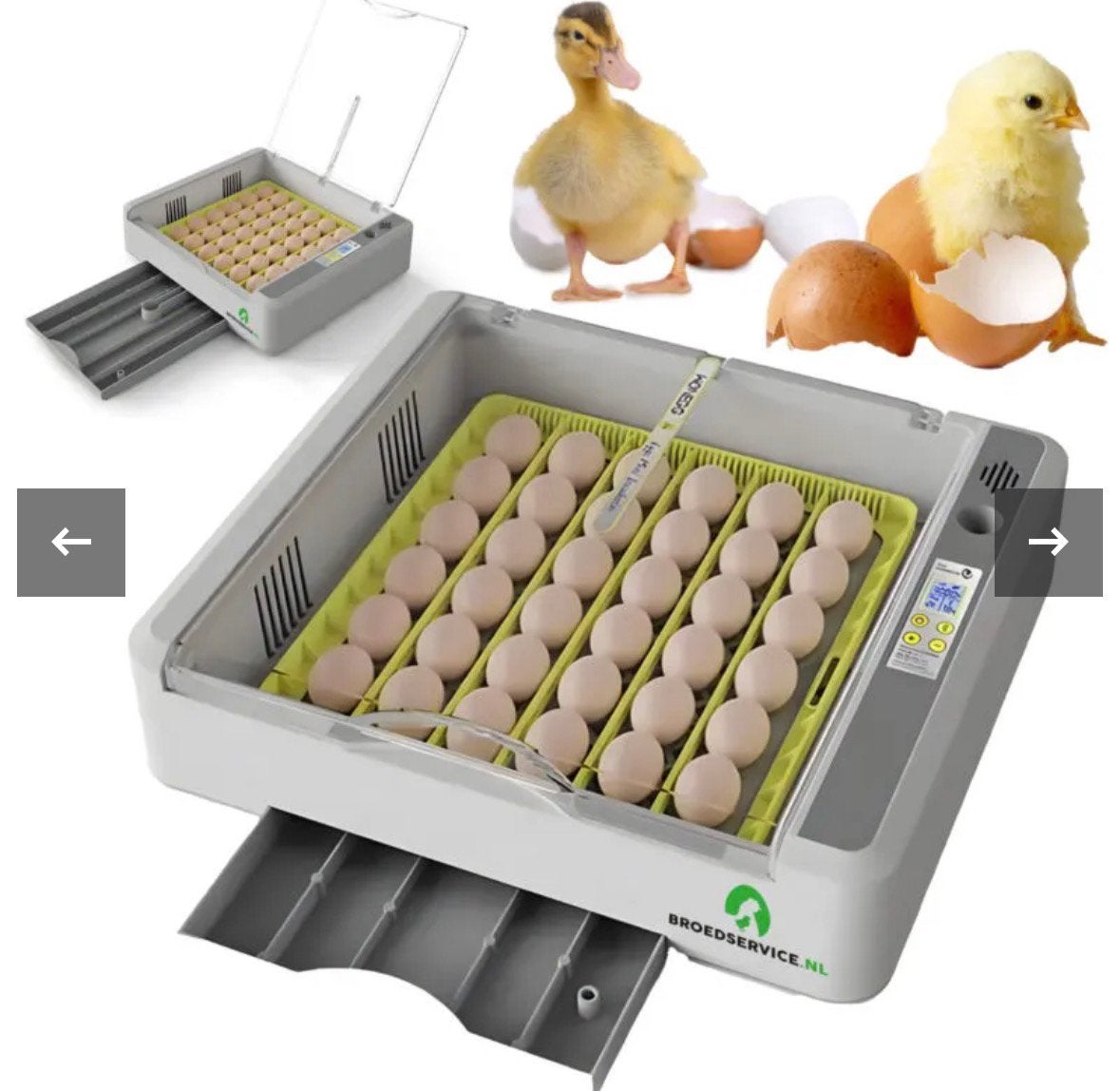 Broedmachine, Animaux & Accessoires, Volatiles | Accessoires, Enlèvement ou Envoi, Comme neuf, Couveuse