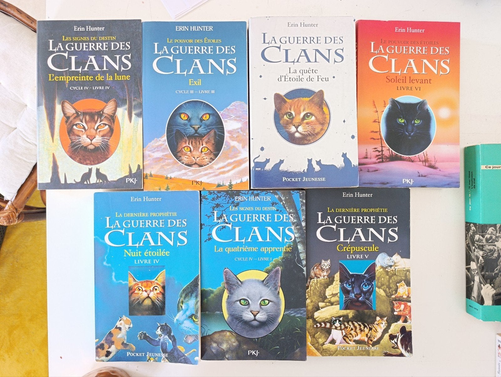 lot de 7 livres, la guerre des clans, Livres, Enlèvement ou Envoi