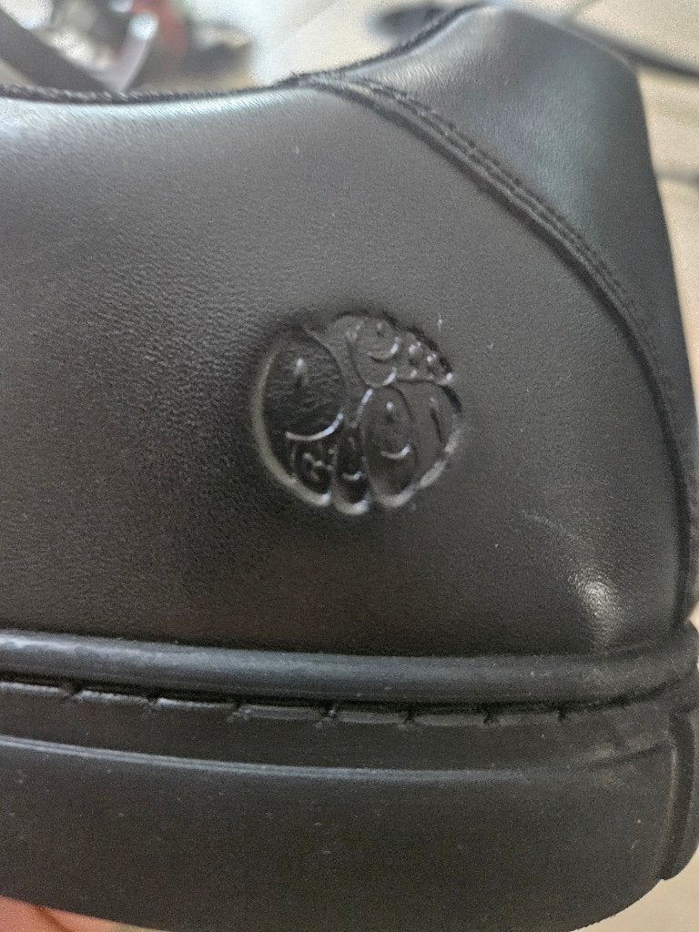 basket / chaussure, Sport en Fitness, Basketbal, Ophalen, Nieuw, Schoenen