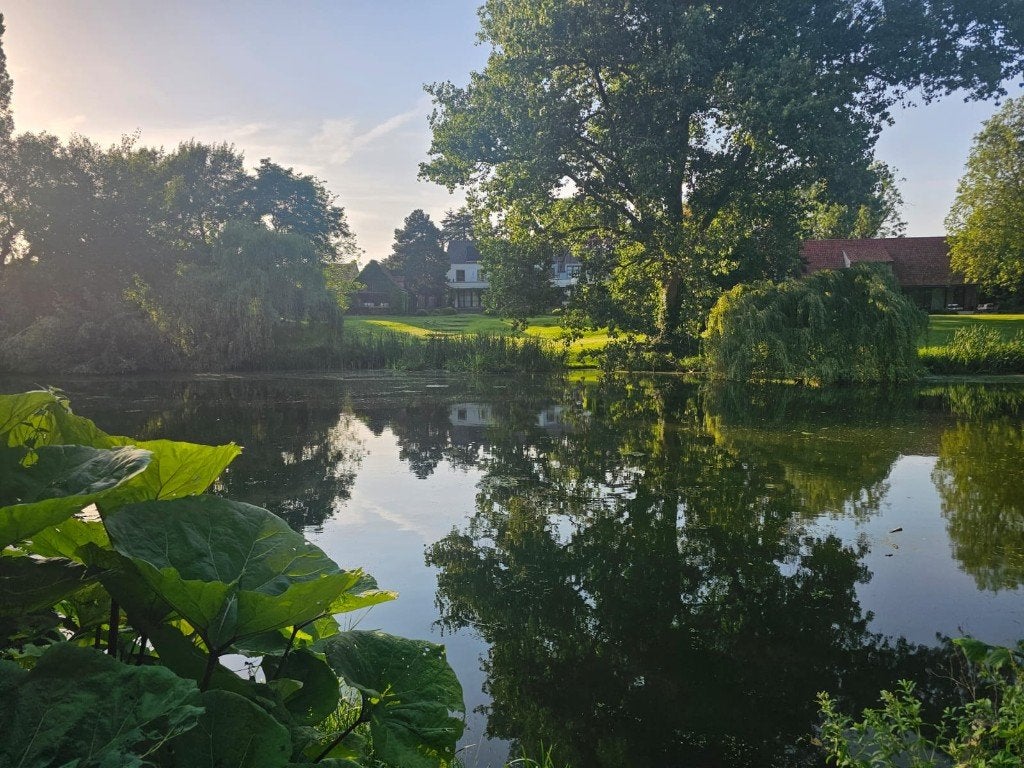 Gezocht: Woning te huur met tuin tegen 2027- Kortrijk/Deinze, Immo