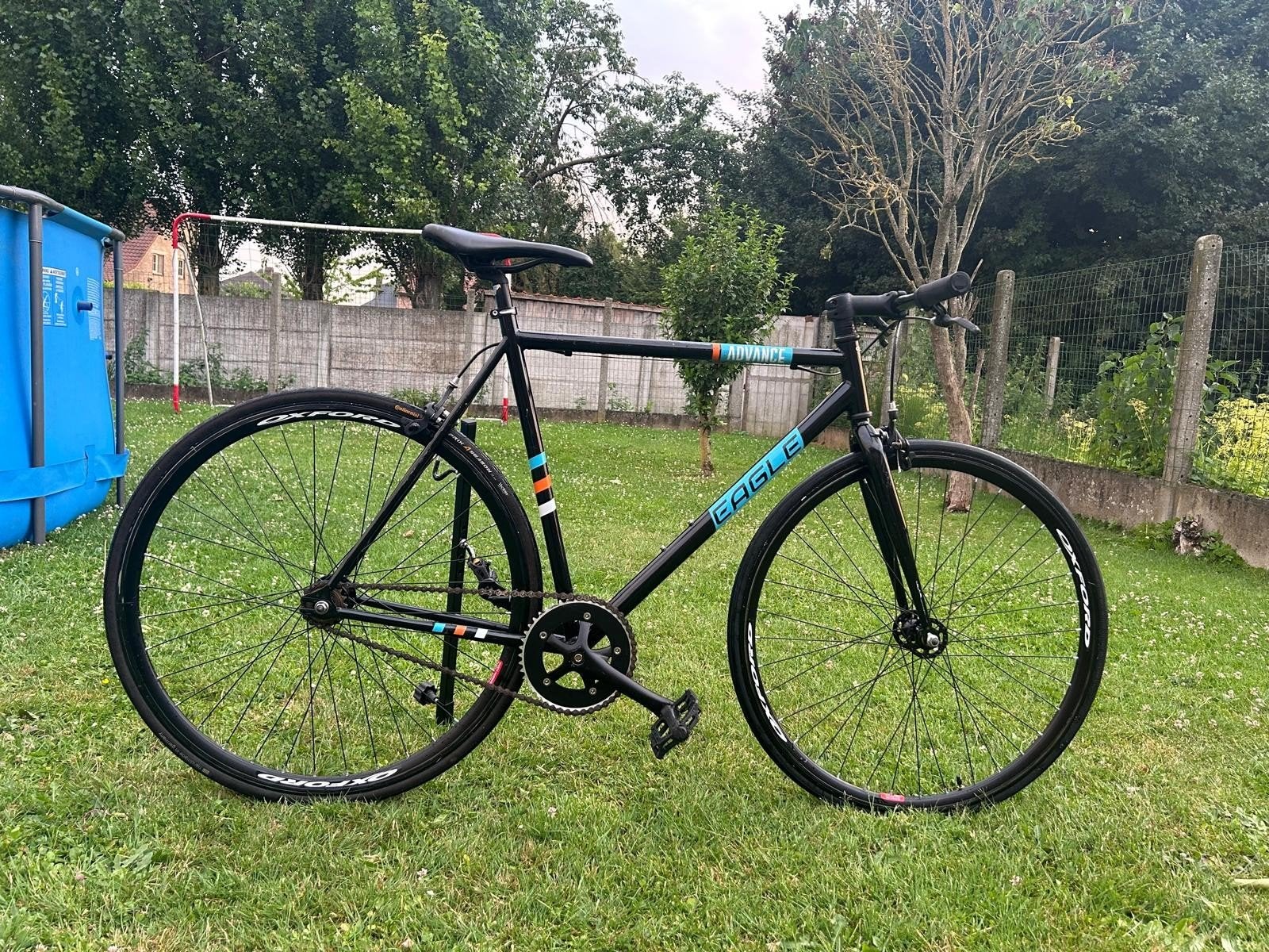 Vélo Eagle Advance à vitesse unique et à pignon fixe avec mo, Vélos & Vélomoteurs, Enlèvement