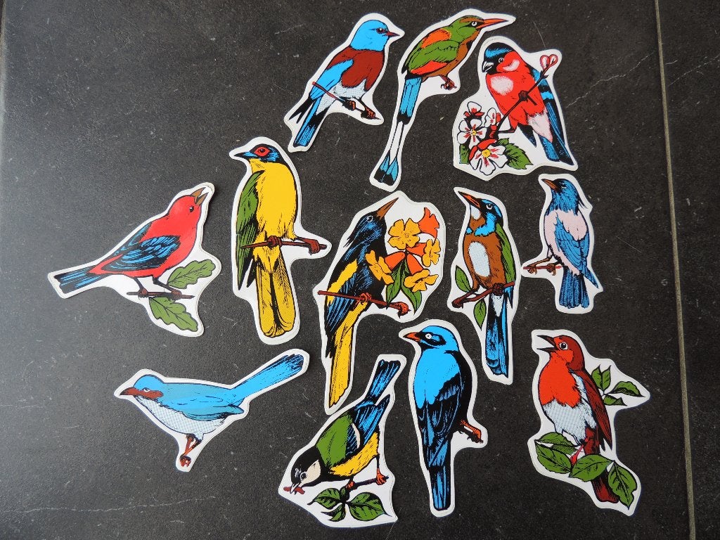 vintage - Retro Kermis 12 x vogels sticker, Verzenden, Zo goed als nieuw, Dier en Natuur