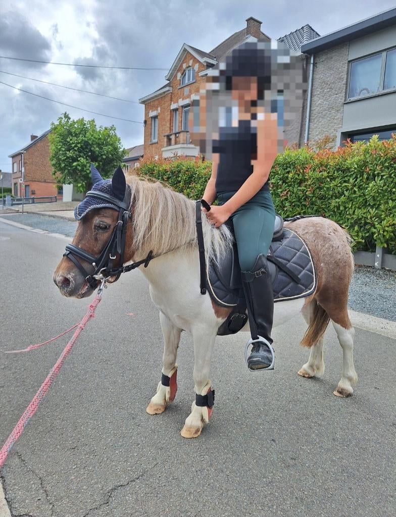 Lesjes / buitenritten aangeboden NINOVE, Zadelmak, A pony (tot 1.17m), 3 tot 6 jaar, Recreatiepony