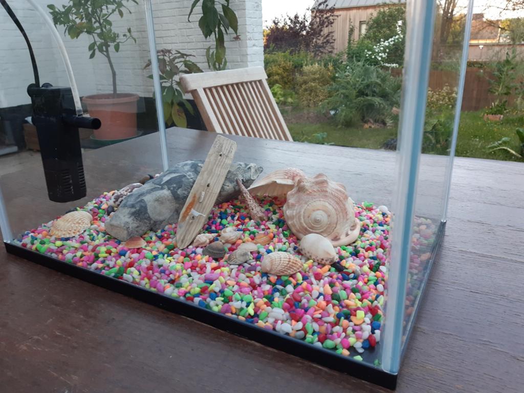 Aquarium van 50 liter, Dieren en Toebehoren, Vissen | Aquaria en Toebehoren, Ophalen, Pomp