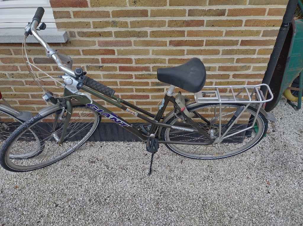 Mooie degelijke Giant Escaper Damesfiets, Fietsen en Brommers, Fietsen | Dames | Damesfietsen, Gebruikt, Giant, (Extra) lage instap