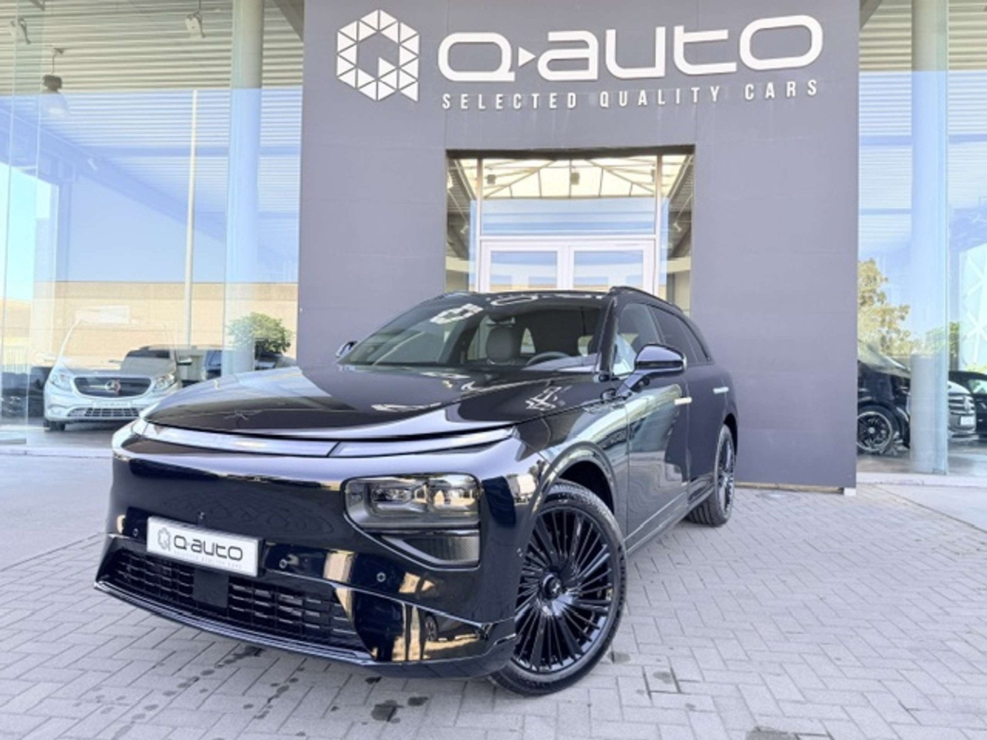 XPENG G9 AWD Performance Black Edition Premium Pack + Trekha, Autos, 575 ch, Achat, Euro 6, Entreprise