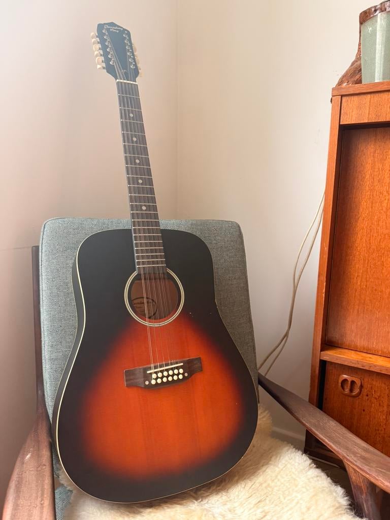 Recording king akoustische gitaar (12 string), Ophalen, Gebruikt