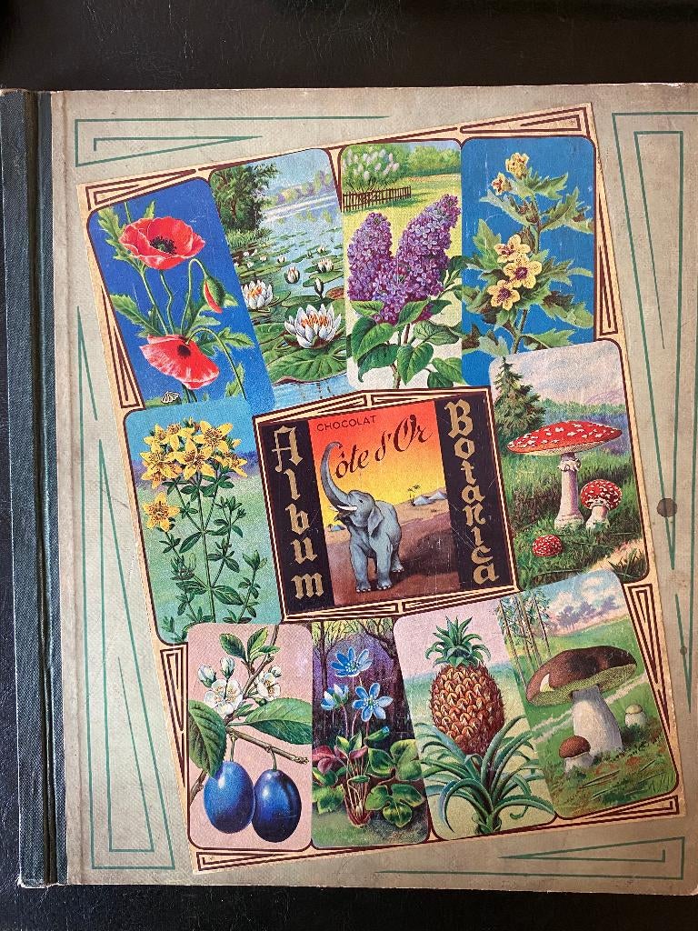 Botanica Album - Uitgave Cote d'Or, Boeken, Ophalen of Verzenden, Gelezen, Cote d'or, Plaatjesalbum