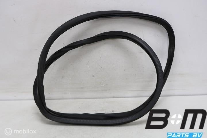 Portierrubber carrosserie LA of RA VW Passat B6 3C5867913B, Utilisé