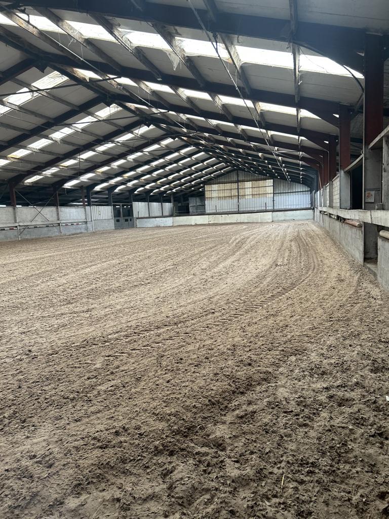 paardenstal te huur, Weidegang