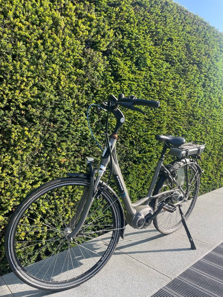 Elektrische fiets - Bosch, Ophalen, Batavus