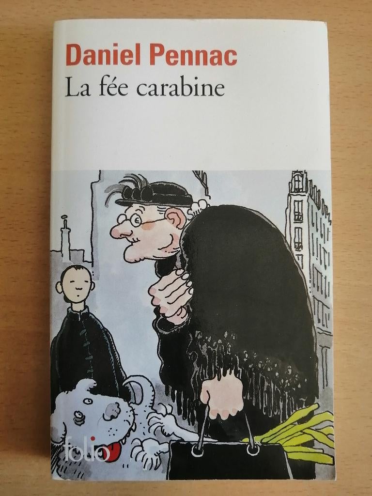 La Fée Carabine de Daniel Pennac, Enlèvement ou Envoi
