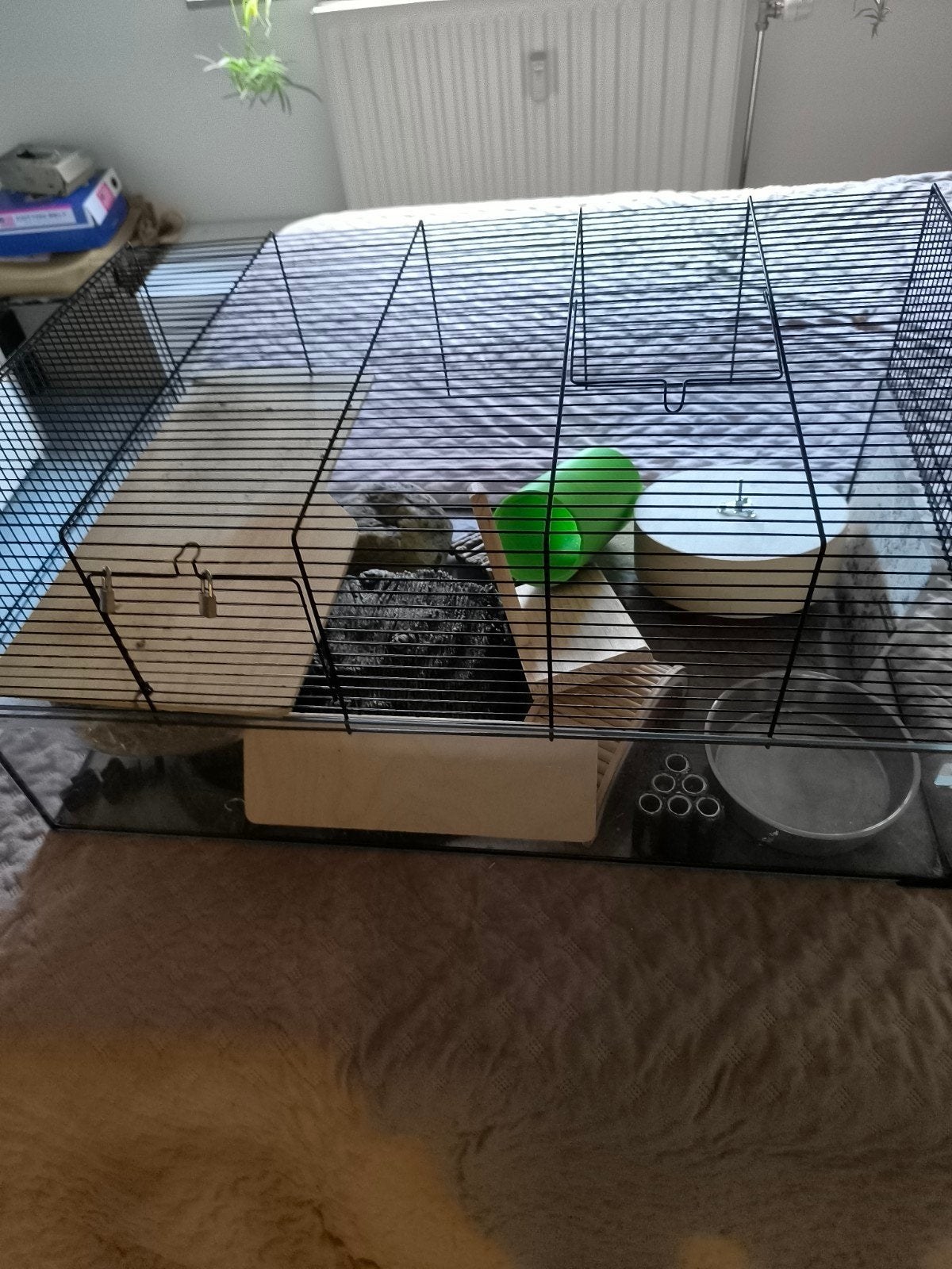 Hamsterkooi, Dieren en Toebehoren, Ophalen, Hamster