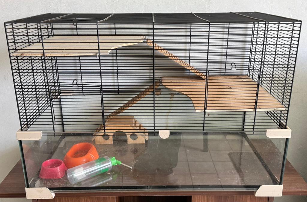 Ferplast Karat 80 Hamsterkooi, Kooi, 75 tot 110 cm, Ophalen, Minder dan 60 cm