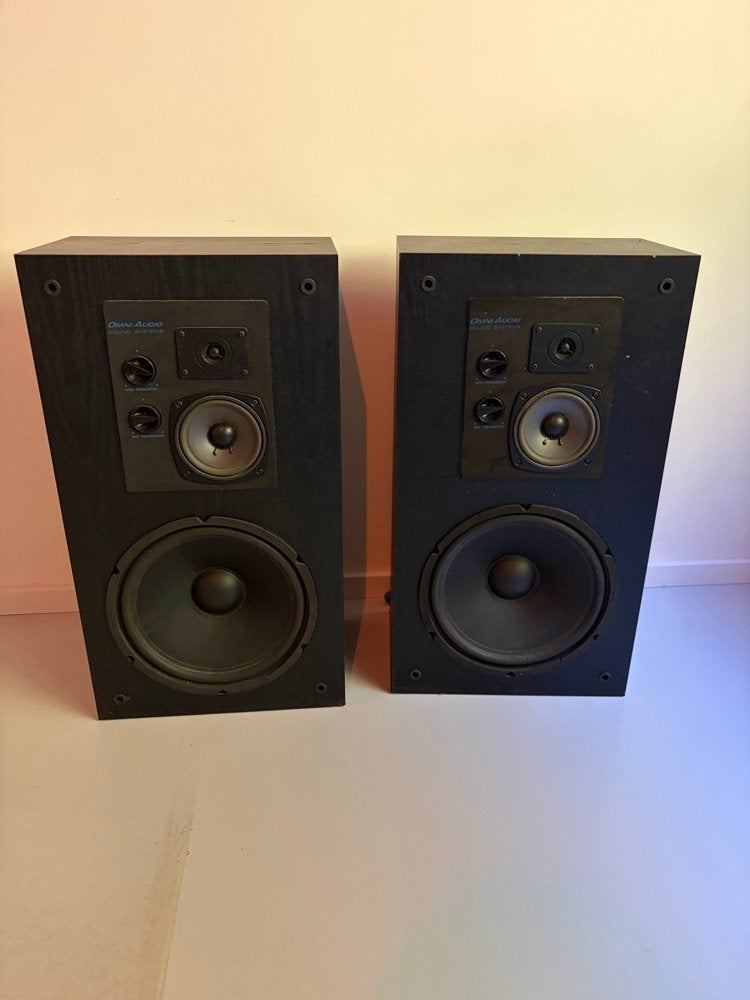 Prachtige vintage Omni Audio SA 12.3 luidsprekers (12 inch), Audio, Tv en Foto, Ophalen, Gebruikt, Vloerstaande luidspreker