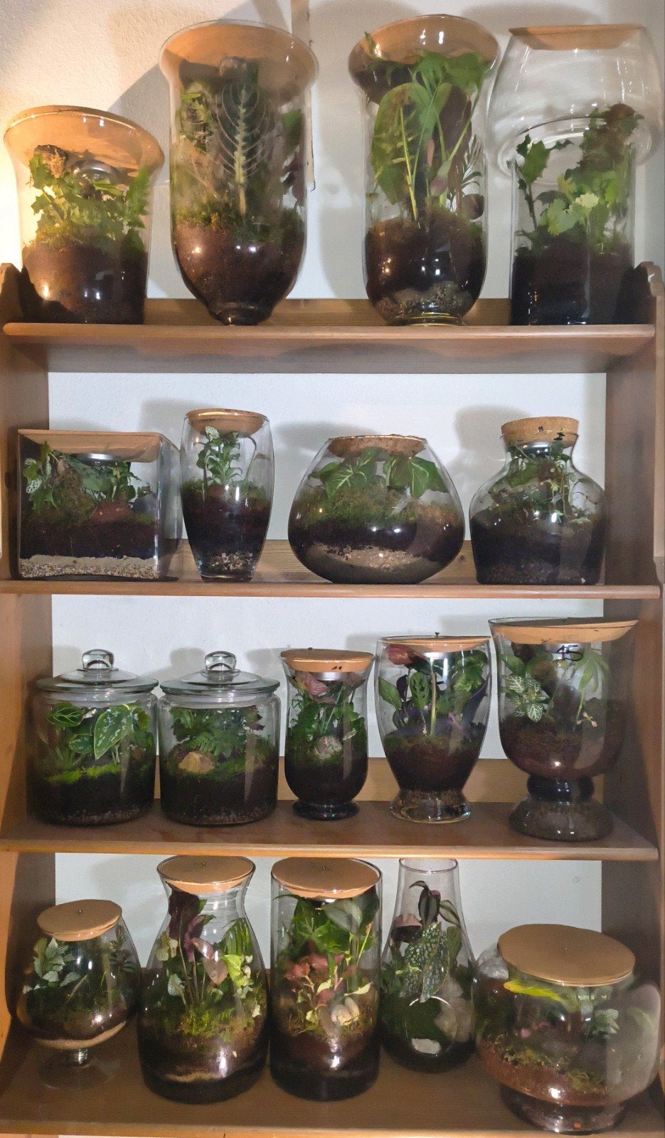 plantenbiotopen: alle maten en vormen, Ophalen