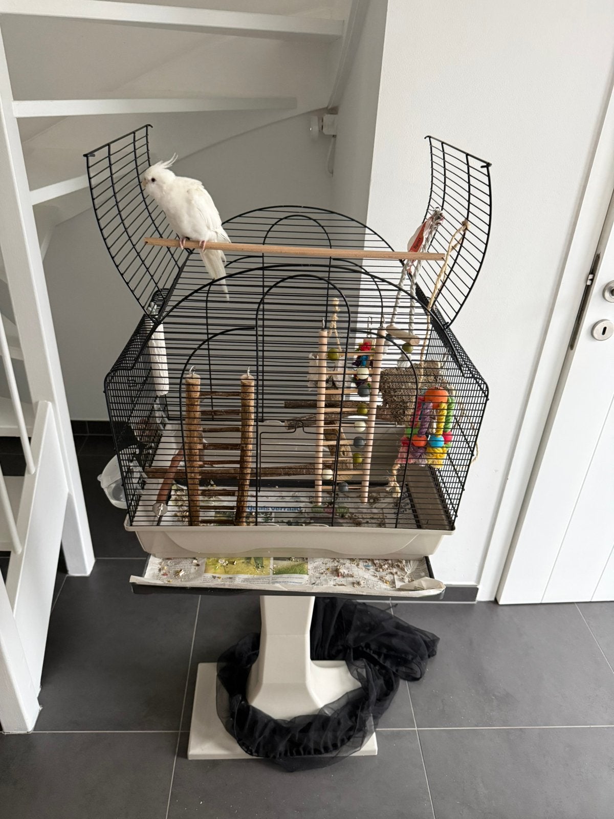 Cage à oiseaux, Animaux & Accessoires, Enlèvement, Comme neuf, Cage à oiseaux