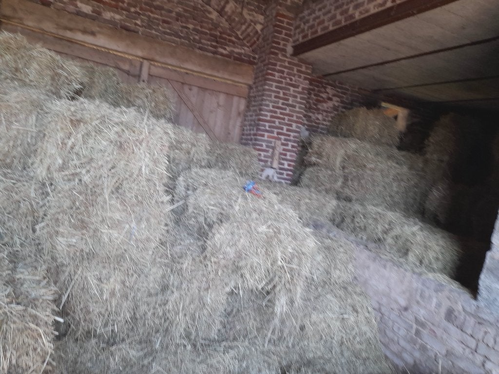 Hooi, Dieren en Toebehoren, Ophalen