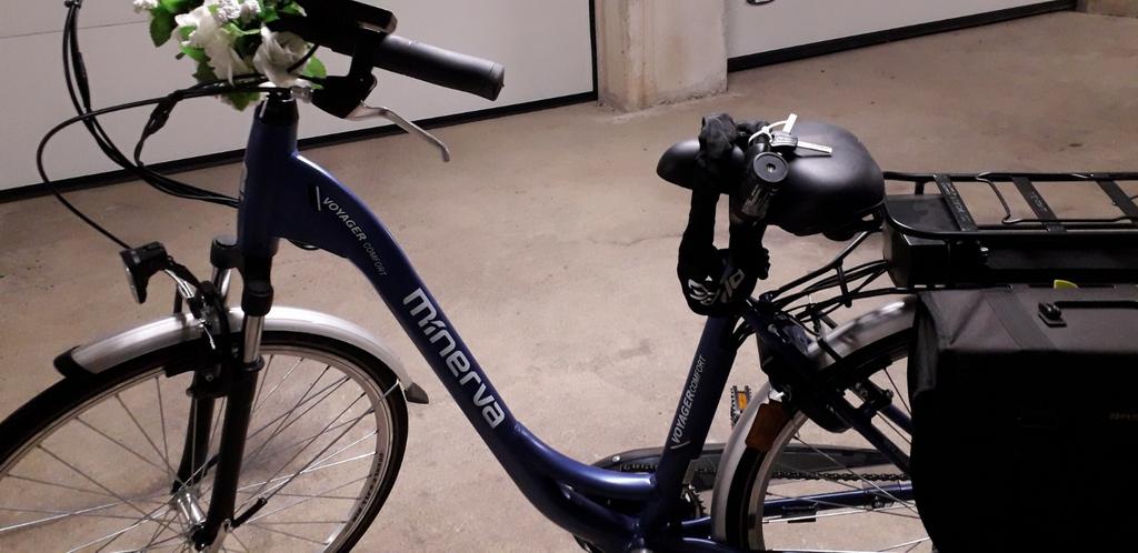 ELEKTRISCHE  FIETS, Enlèvement, Comme neuf