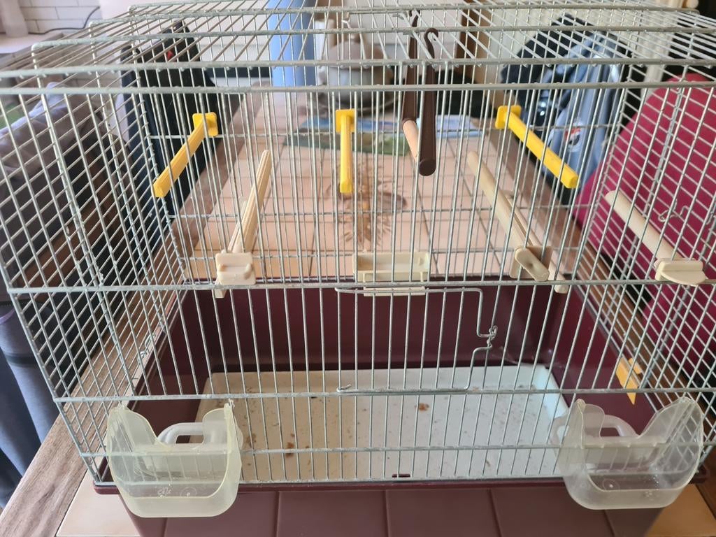 Cage canaris, Animaux & Accessoires, Enlèvement, Utilisé
