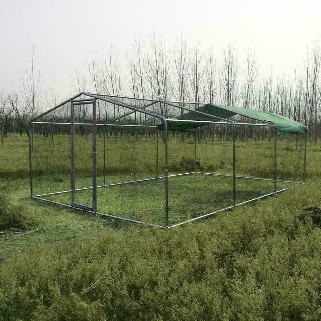 Poulailler 18m² enclos parc poule 6x3x2,25m chatiere voliere, Envoi, Neuf, Poulailler