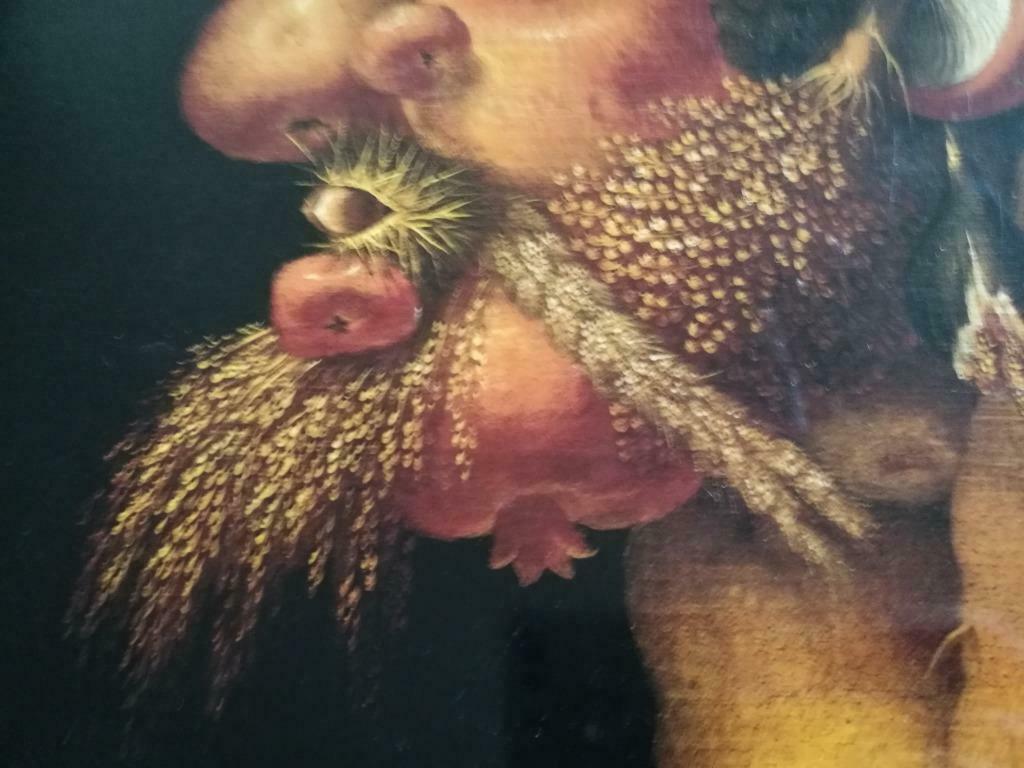 Acrimboldo Monografie Renaissance 140pag. 110ill, Neuf, Peinture et dessin