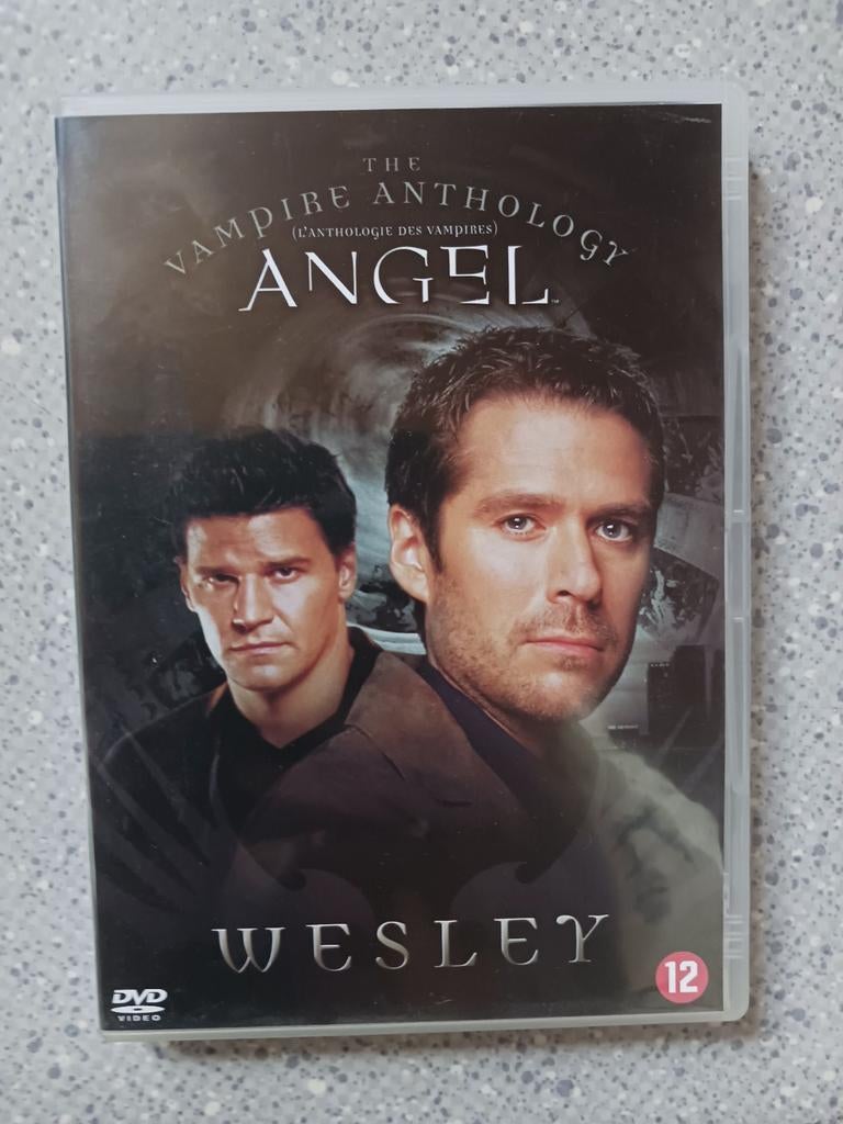 Angel - the vampire anthology: Wesley, Cd's en Dvd's, Dvd's | Tv en Series, Vanaf 12 jaar, Ophalen, Gebruikt, Horror