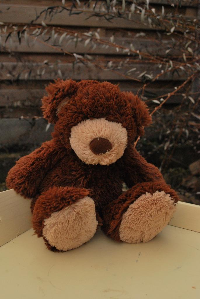 Bruin beertje, Enlèvement ou Envoi, Utilisé, Ours