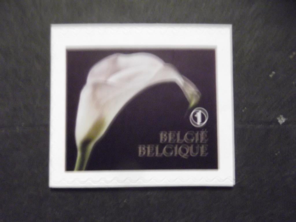 4368 Witte lelie (rouw) - Lis blanc (deuil), Ophalen of Verzenden, Postfris, Frankeerzegel