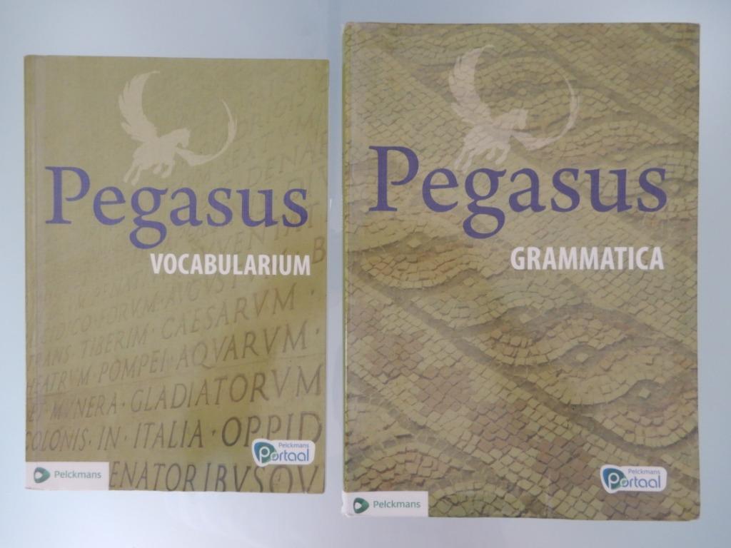 Pegasus vocabularium en grammatica, Boeken, Studieboeken en Cursussen, Zo goed als nieuw, Ophalen