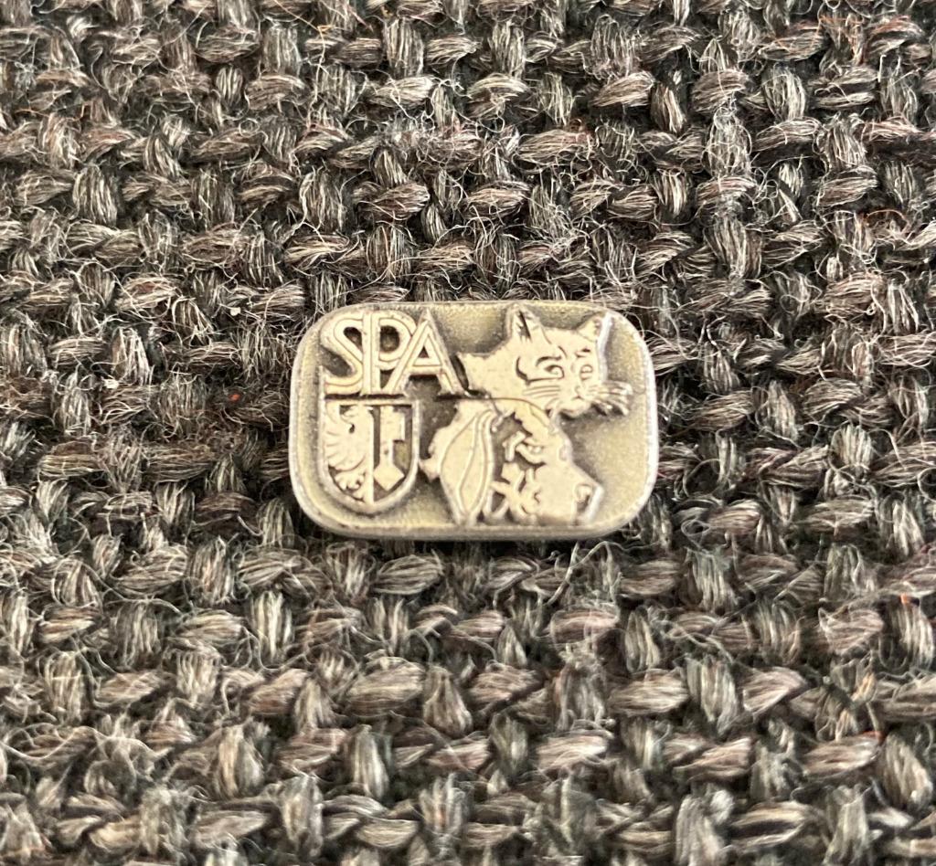 PIN - SPA - KAT - HOND - CHIEN - CHAT - CAT - DOG, Envoi, Utilisé, Autres sujets/thèmes, Insigne ou Pin's