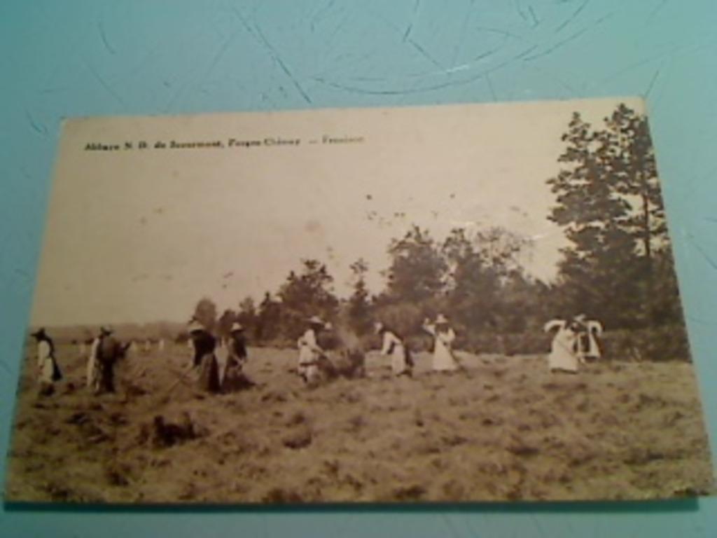 Zeer oude ansichtkaarten van de abdij van Scourmont, Verzamelen, Postkaarten | België, Ongelopen, Henegouwen, 1920 tot 1940, Ophalen of Verzenden