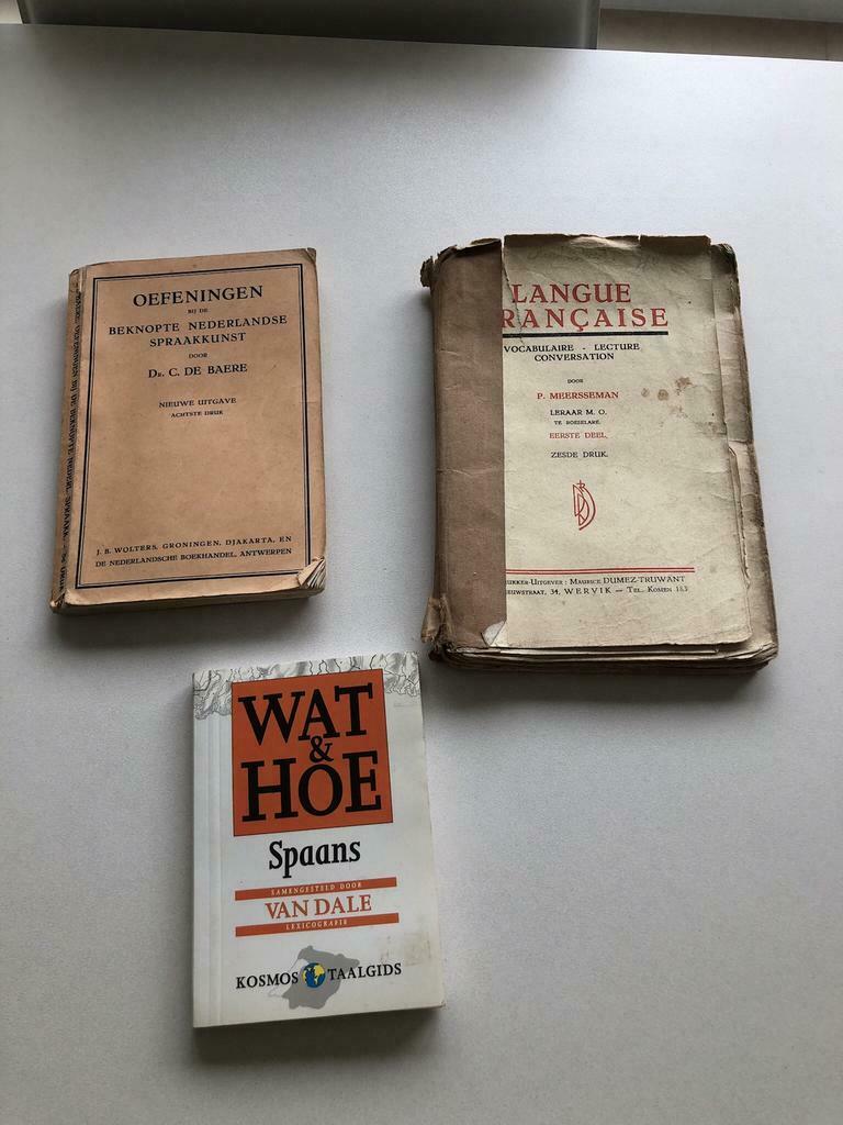 Spaans frans en vocabulaire, Enlèvement ou Envoi, Comme neuf, Guide de conversation