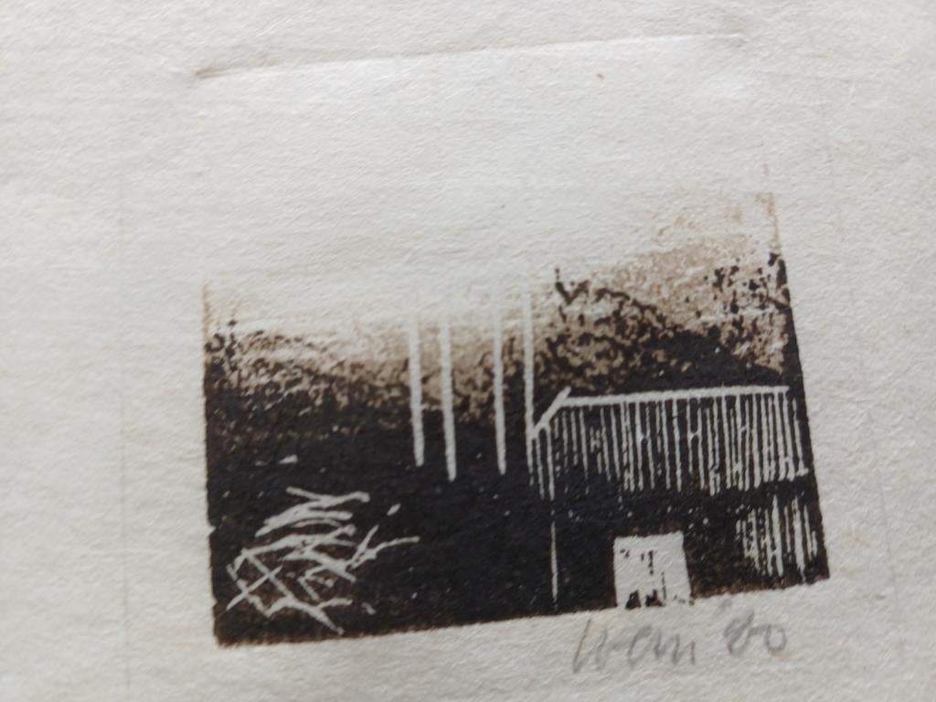 Ets of litho?, Antiek en Kunst, Kunst | Etsen en Gravures, Ophalen of Verzenden