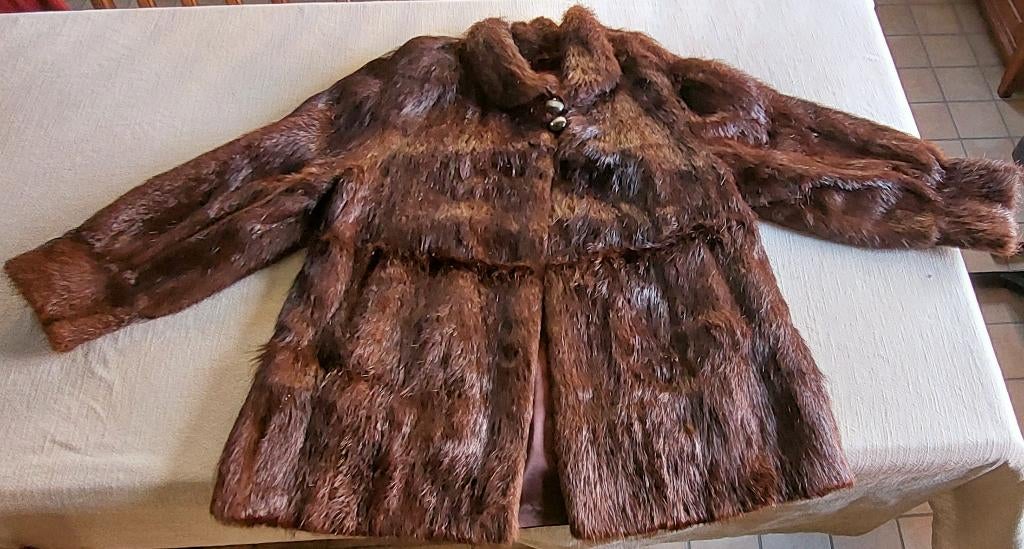 bontjas in beverbont, Kleding | Dames, Ophalen, Gedragen
