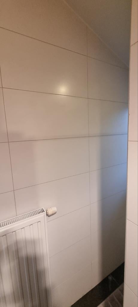 Badkamertegels - Wit 60x30, Ophalen