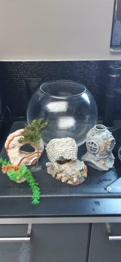 Compleet aquarium met deco, Dieren en Toebehoren, Ophalen, Zo goed als nieuw
