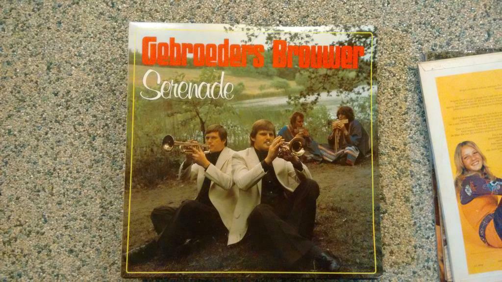 Lp's van Nederlandse groepen, Ophalen of Verzenden, 12 inch