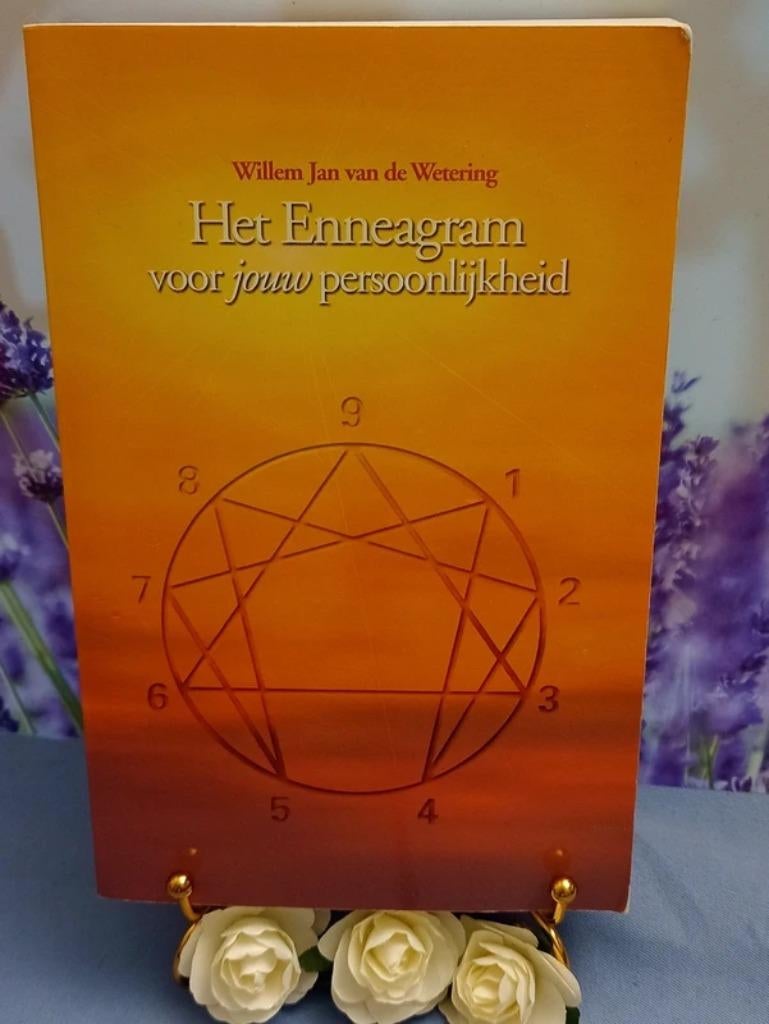 Het enneagram voor jouw persoonlijkheid, Enlèvement ou Envoi, Comme neuf