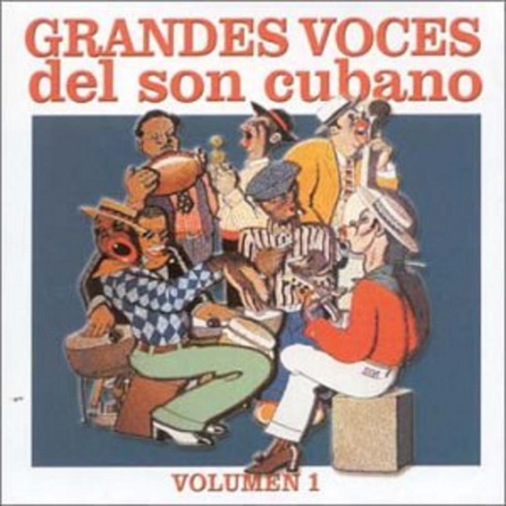 CD - Grandes Voces Del Son Vol.1  - LATIN, Ophalen of Verzenden