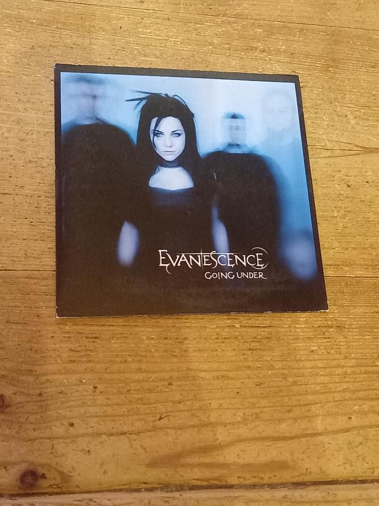 3 Singles (Cd's) van Evanescence, Cd's en Dvd's, Cd Singles, 2 t/m 5 singles, Ophalen of Verzenden, Zo goed als nieuw, Rock en Metal