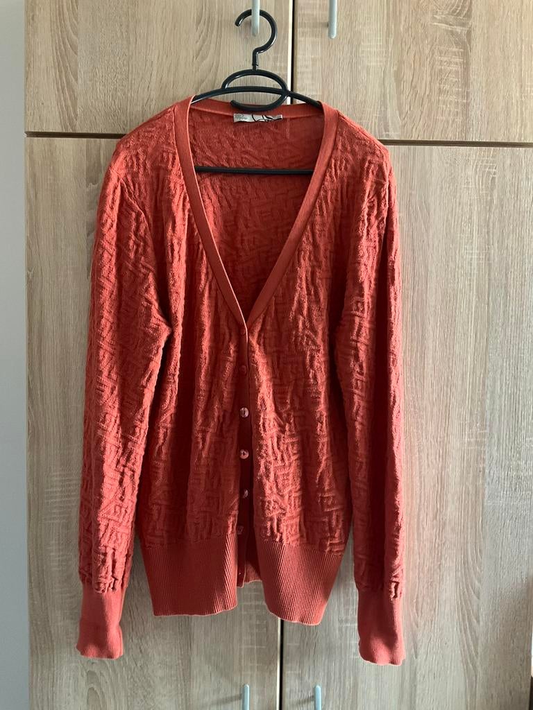 Oranje gilet,merk d’auvry,maat XL, D’auvry, Maat 46/48 (XL) of groter, Oranje, Ophalen of Verzenden