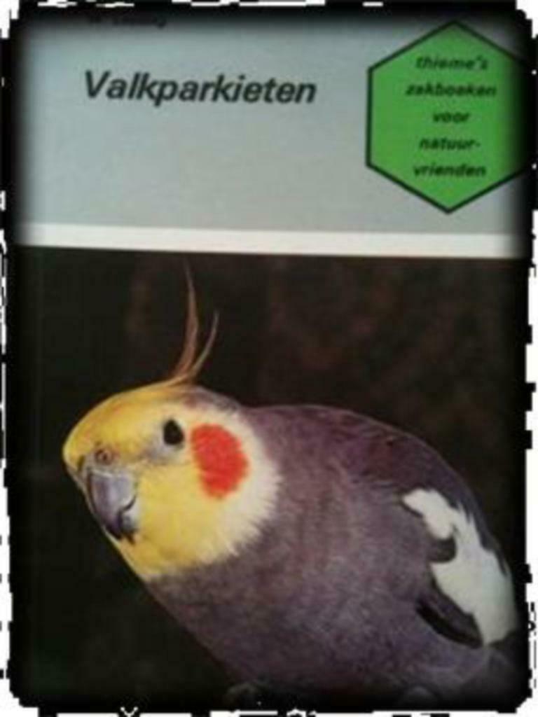 Valkparkieten, W.Loeding, Boeken, Ophalen of Verzenden, Gelezen, Vogels