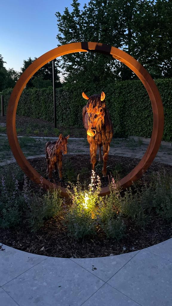 Maatwerk in cortenstaal, Tuin en Terras, Tuinwanddecoratie, Ophalen