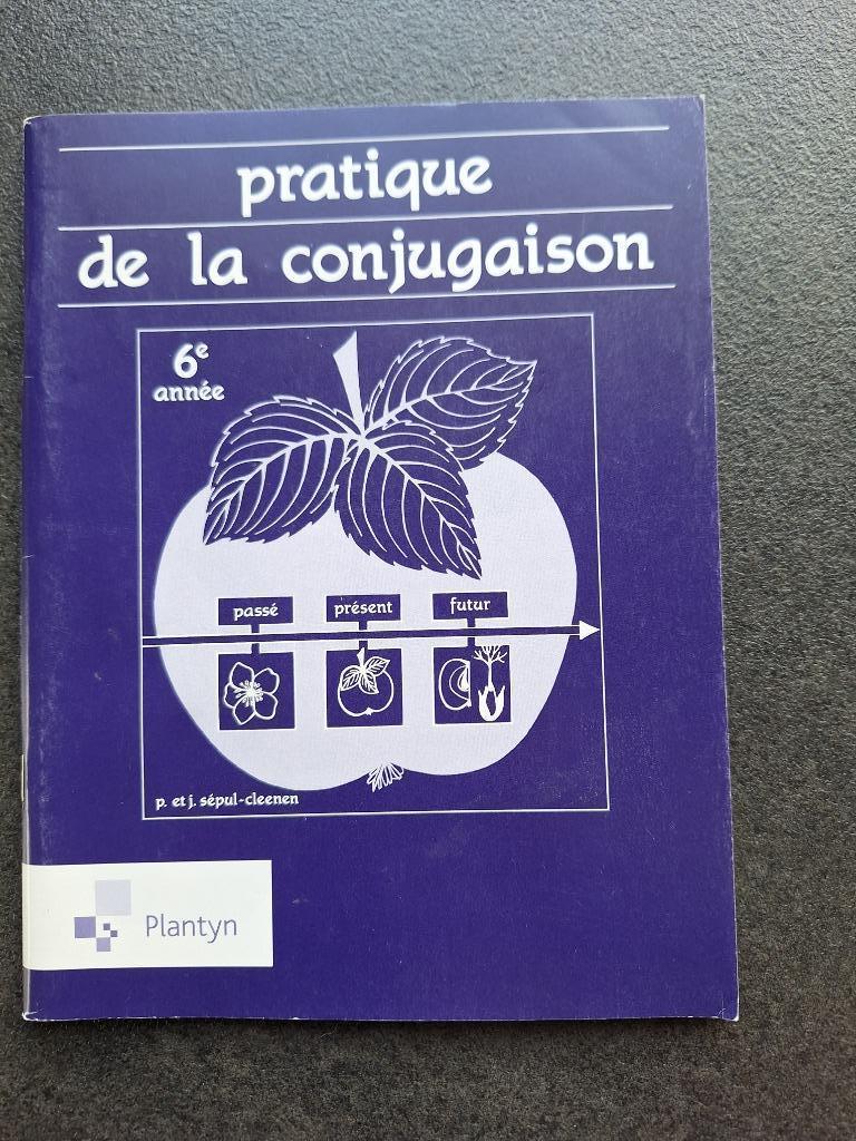 Pratique de la conjugaison - 6e année - Plantyn, Livres, Enlèvement ou Envoi, Plantyn, Primaire, Français