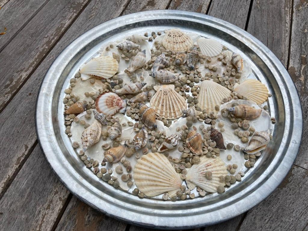 SCHELPEN MET SCHAAL DIA 39,5 CM  NIEUW, Overige materialen, Schaal, Rond, Nieuw