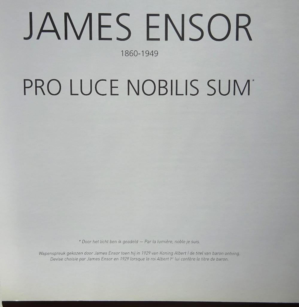 James Ensor, 2009 Pro Luce Nobilis Sum, Dexia, Livres, Enlèvement ou Envoi, Utilisé, Peinture et dessin