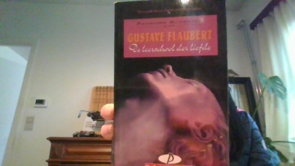 Flaubert De leerschool der liefde, Boeken, Ophalen, Gelezen, Gustave Flaubert